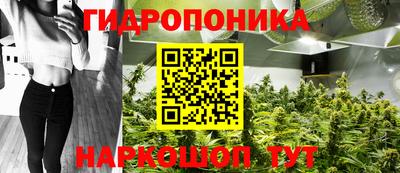 таблы Будённовск