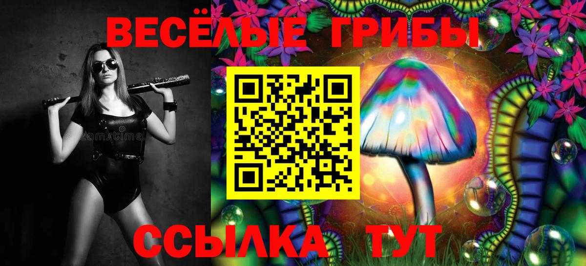 Галлюциногенные грибы MAGIC MUSHROOMS  Галлюциногенные грибы прущие грибы  Шумерля  наркота  Вход с VPN 